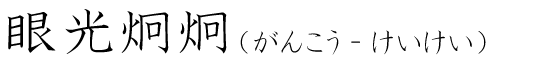 「眼光炯炯」の読み方