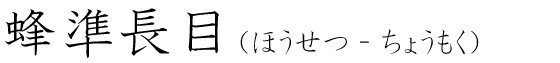 「蜂準長目」の読み方