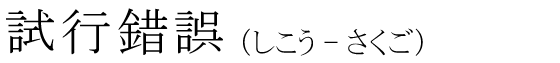 「試行錯誤」の読み方