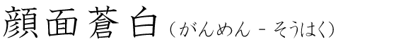 「顔面蒼白」の読み方