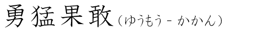 「勇猛果敢」の読み方