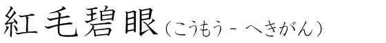 「紅毛碧眼」の読み方