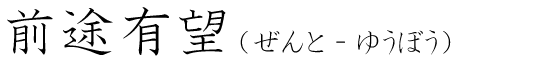 「前途有望」の読み方