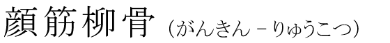 「顔筋柳骨」の読み方
