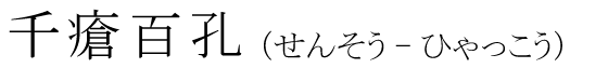 「千瘡百孔」の読み方