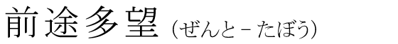「前途多望」の読み方