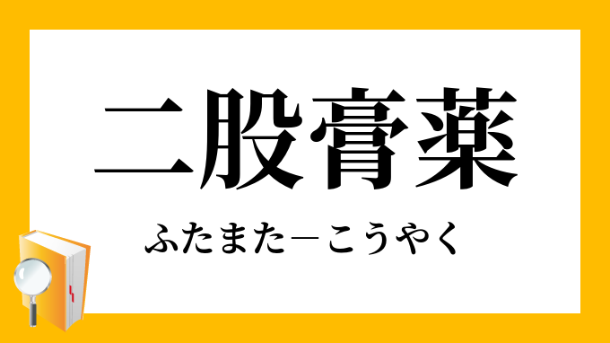 二股膏薬 ふたまたこうやく の意味